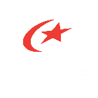 Saracens badge