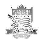 Weston-super-Mare badge