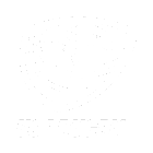 USA badge